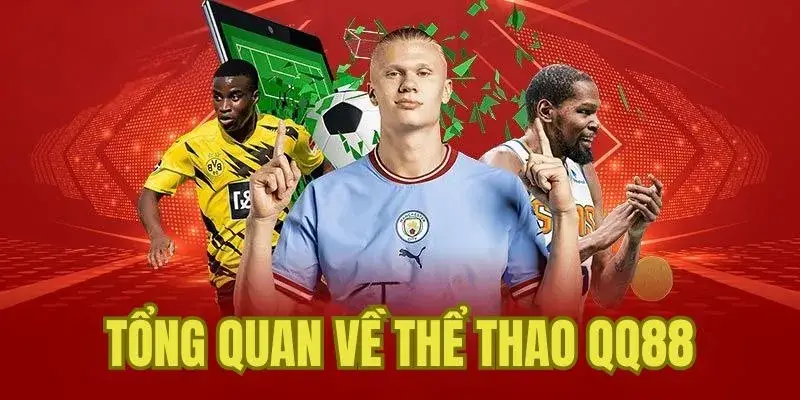 Một danh mục được đầu tư kỹ lưỡng