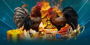 đá gà trực tiếp qq88