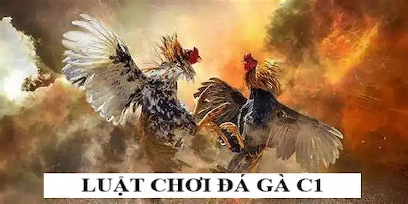 Luật chơi đá gà C1 cần phải biết