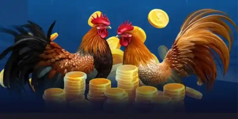 Quản lý vốn cược hiệu quả, tối ưu để giành chiến thắng
